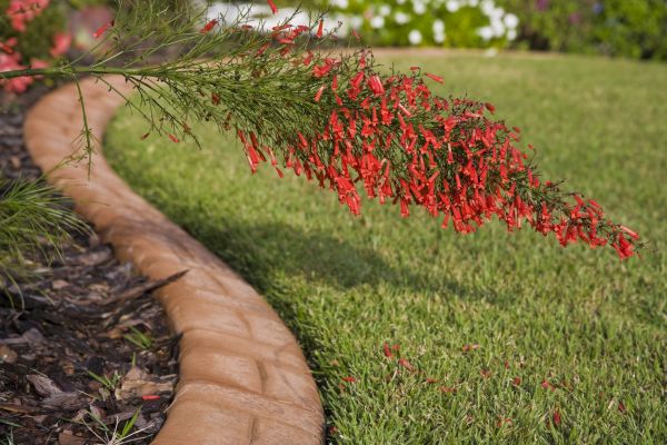 Brick Edging in Louisville