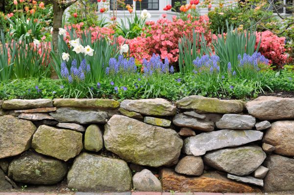 Stone Wall Hardscaping in Louisville