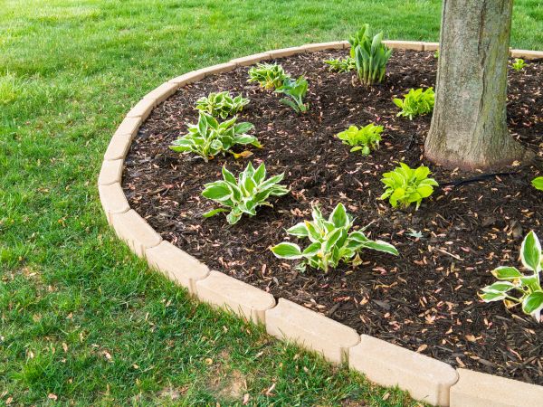 Stone Border Installation in Louisville