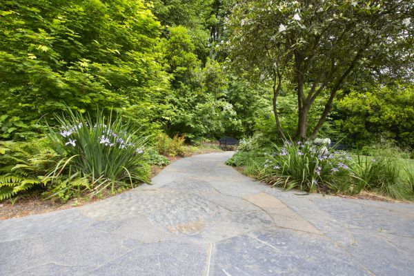 Stone Hardscape Service in Louisville